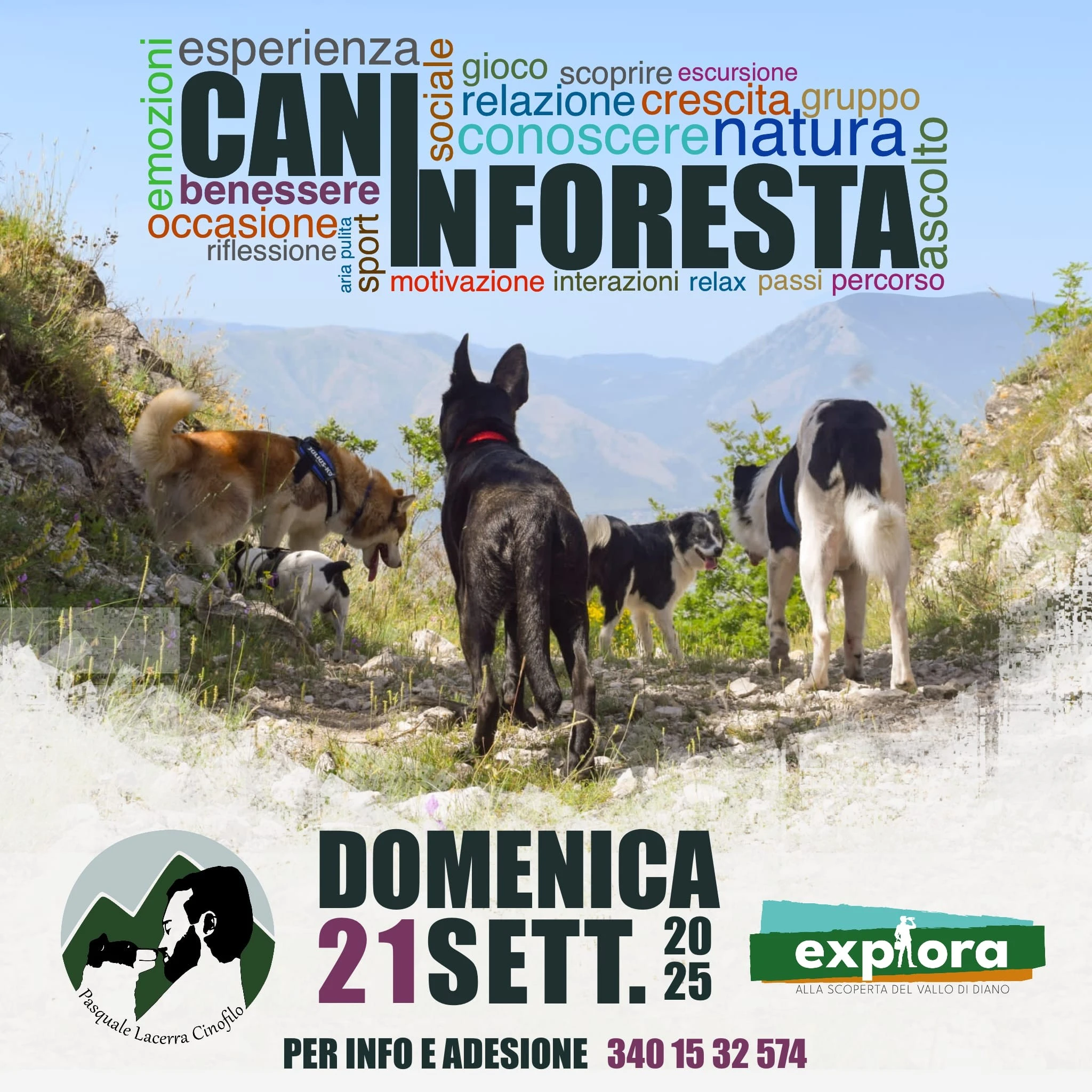 cani-in-foresta-locandina