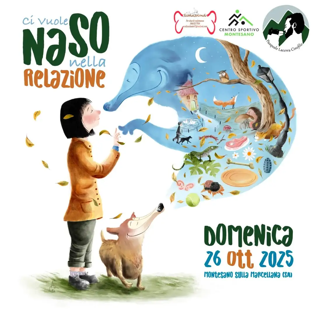 ci-vuole-naso-locandina